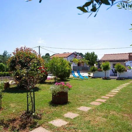 Ankica Sikici 풀라