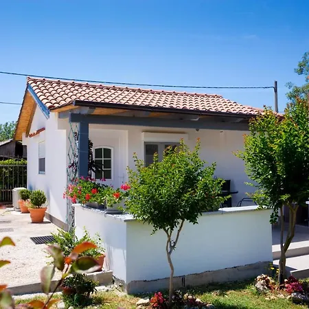 Ankica Sikici * 풀라