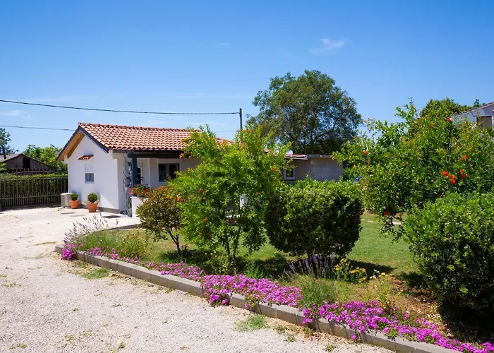 Ankica Sikici 펜션 풀라