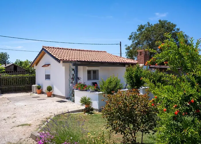 Σπίτι διακοπών Ankica Sikici *